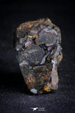 21385 - Sericho Pallasite Meteorite Polished Section 17.7g Fell in Kenya