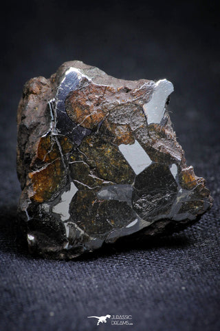 21386 - Sericho Pallasite Meteorite Polished Section 14.9g  Fell in Kenya