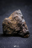 21386 - Sericho Pallasite Meteorite Polished Section 14.9g  Fell in Kenya