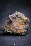 21386 - Sericho Pallasite Meteorite Polished Section 14.9g  Fell in Kenya