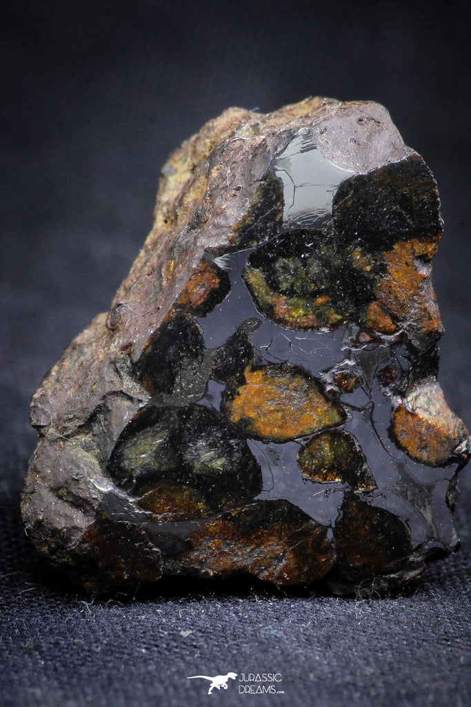 21387 - Sericho Pallasite Meteorite Polished Section 15.7g Fell in Kenya