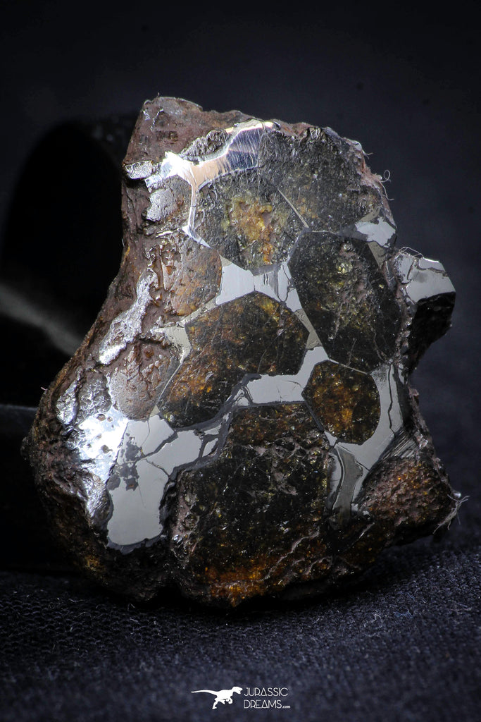 21389 - Sericho Pallasite Meteorite Polished Section 12g Fell in Kenya