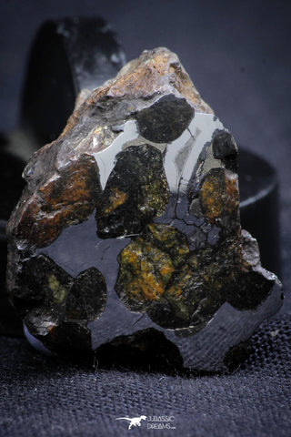 21390 - Sericho Pallasite Meteorite Polished Section 11.8g Fell in Kenya