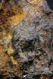 21391 - Sericho Pallasite Meteorite Polished Section 13.8g Fell in Kenya