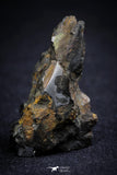 21392 - Sericho Pallasite Meteorite Polished Section 16.0g Fell in Kenya