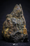 21392 - Sericho Pallasite Meteorite Polished Section 16.0g Fell in Kenya