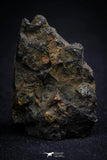 21392 - Sericho Pallasite Meteorite Polished Section 16.0g Fell in Kenya