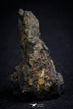 21392 - Sericho Pallasite Meteorite Polished Section 16.0g Fell in Kenya