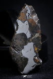 21393 - Sericho Pallasite Meteorite Polished Section 7.5g Fell in Kenya