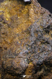 21394 - Sericho Pallasite Meteorite Polished Section 13.1g Fell in Kenya