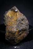 21394 - Sericho Pallasite Meteorite Polished Section 13.1g Fell in Kenya