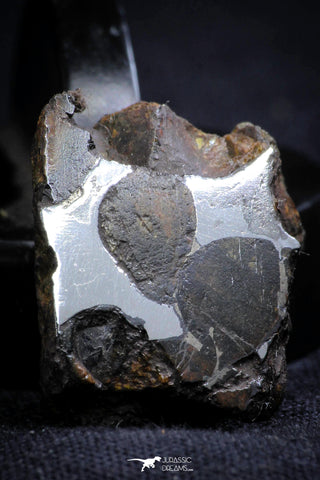 21396 - Sericho Pallasite Meteorite Polished Section 9.7g Fell in Kenya