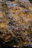 21396 - Sericho Pallasite Meteorite Polished Section 9.7g Fell in Kenya