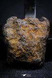 21396 - Sericho Pallasite Meteorite Polished Section 9.7g Fell in Kenya