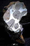 21397 - Sericho Pallasite Meteorite Polished Section 10g Fell in Kenya