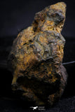21397 - Sericho Pallasite Meteorite Polished Section 10g Fell in Kenya