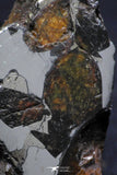 21398 - Sericho Pallasite Meteorite Polished Section 7.6g Fell in Kenya