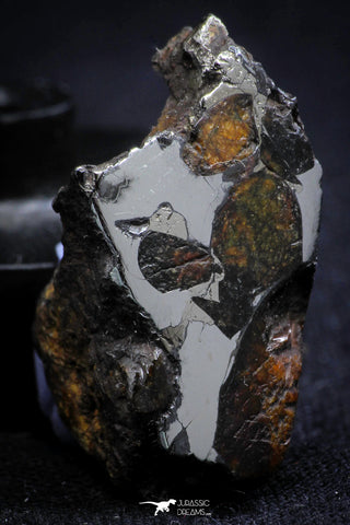 21398 - Sericho Pallasite Meteorite Polished Section 7.6g Fell in Kenya