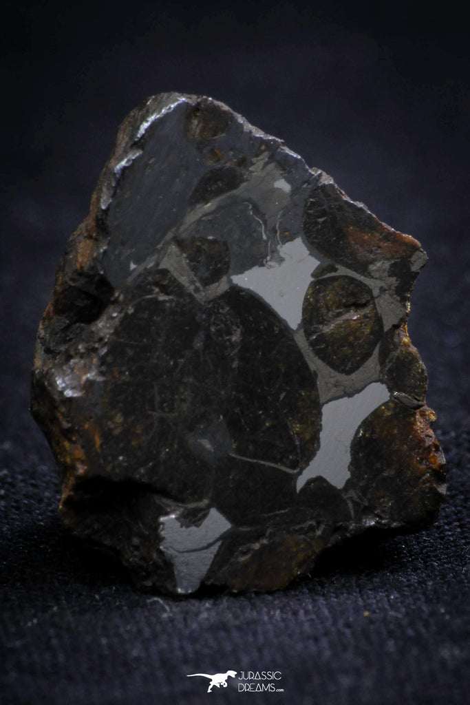 21399 - Sericho Pallasite Meteorite Polished Section 5.5g Fell in Kenya