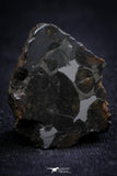 21399 - Sericho Pallasite Meteorite Polished Section 5.5g Fell in Kenya