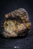 21399 - Sericho Pallasite Meteorite Polished Section 5.5g Fell in Kenya