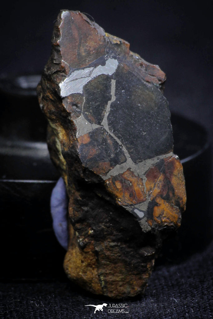 21400 - Sericho Pallasite Meteorite Polished Section 4.1g Fell in Kenya