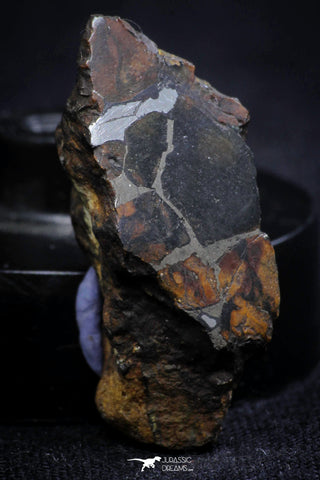 21400 - Sericho Pallasite Meteorite Polished Section 4.1g Fell in Kenya