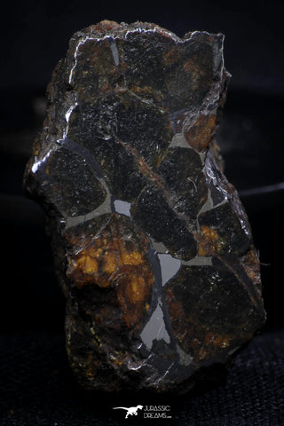 21401 - Sericho Pallasite Meteorite Polished Section 8.9g Fell in Kenya