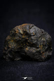 21401 - Sericho Pallasite Meteorite Polished Section 8.9g Fell in Kenya