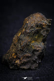 21401 - Sericho Pallasite Meteorite Polished Section 8.9g Fell in Kenya