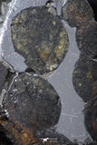 21402 - Sericho Pallasite Meteorite Polished Section 5.4g Fell in Kenya