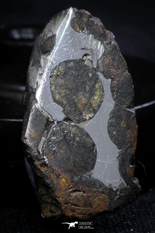 21402 - Sericho Pallasite Meteorite Polished Section 5.4g Fell in Kenya