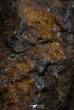 21402 - Sericho Pallasite Meteorite Polished Section 5.4g Fell in Kenya