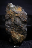 21403 - Sericho Pallasite Meteorite Polished Section 7.6g Fell in Kenya