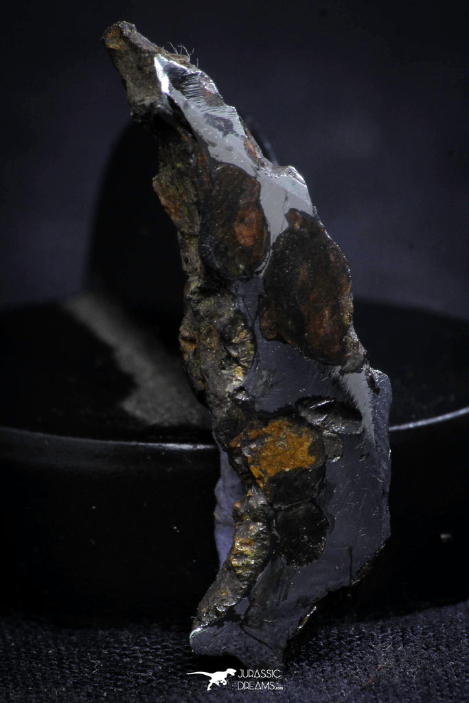 21404 - Sericho Pallasite Meteorite Polished Section 3.6g Fell in Kenya