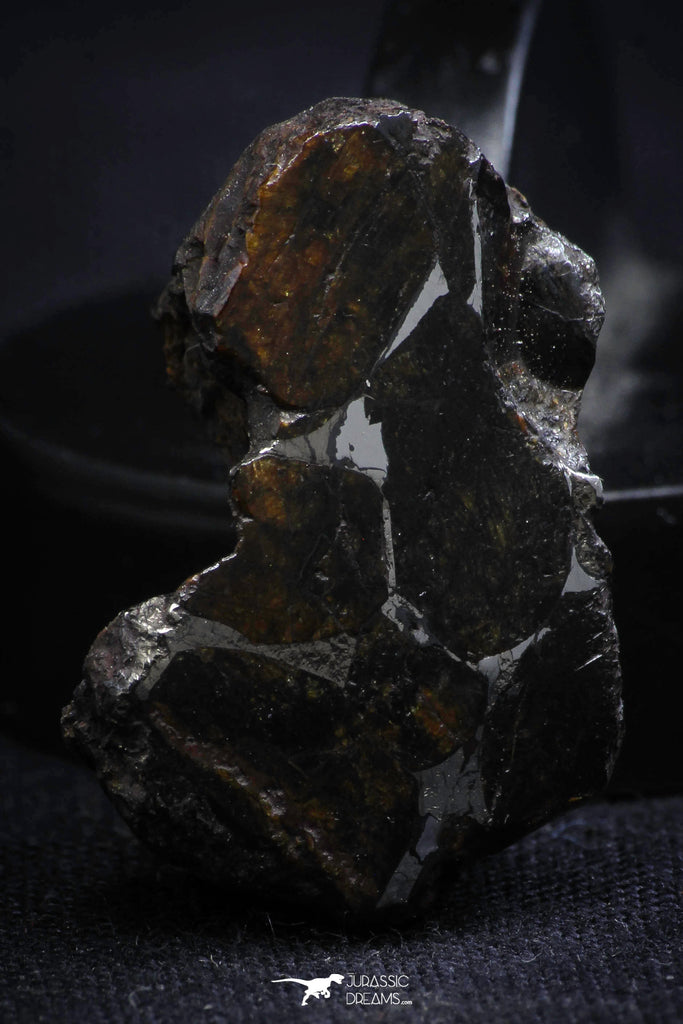21406 - Sericho Pallasite Meteorite Polished Section 9.4g Fell in Kenya