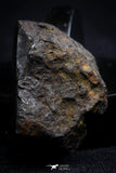 21406 - Sericho Pallasite Meteorite Polished Section 9.4g Fell in Kenya