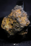 21407 - Sericho Pallasite Meteorite Polished Section 5.7g Fell in Kenya