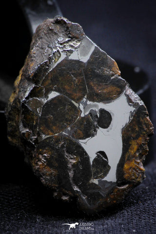 21408 - Sericho Pallasite Meteorite Polished Section 10.5g Fell in Kenya