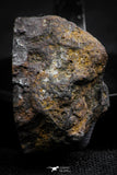 21408 - Sericho Pallasite Meteorite Polished Section 10.5g Fell in Kenya