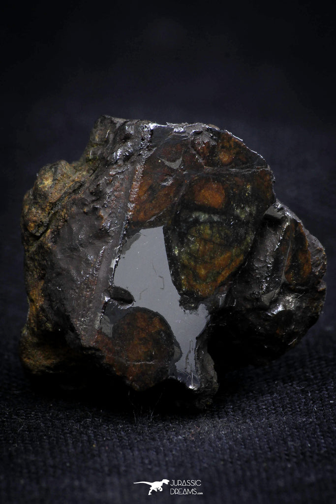 21409 - Sericho Pallasite Meteorite Polished Section 8.8g Fell in Kenya