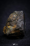 21409 - Sericho Pallasite Meteorite Polished Section 8.8g Fell in Kenya