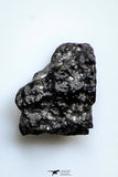 21369 - Top "Black Beauty" NWA 11921 MARTIAN METEORITE Polymict Breccia 0,03g