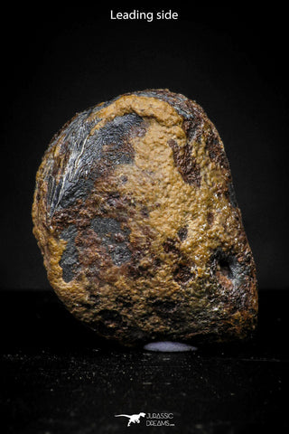 21411 - Taza (NWA 859) Iron Ungrouped Plessitic Octahedrite Meteorite 5.4g ORIENTED