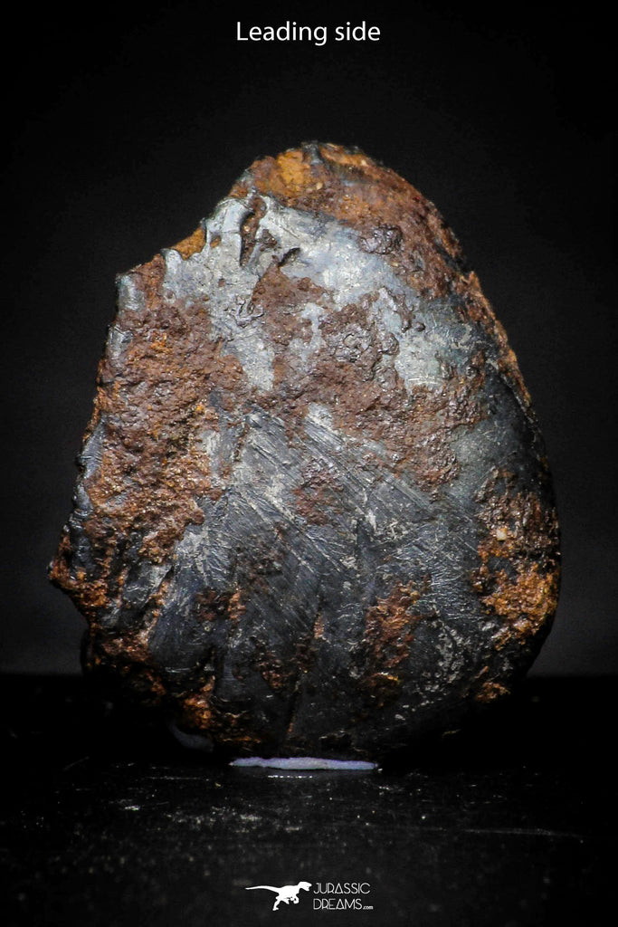 21412 - Taza (NWA 859) Iron Ungrouped Plessitic Octahedrite Meteorite 3.4g ORIENTED