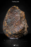 21412 - Taza (NWA 859) Iron Ungrouped Plessitic Octahedrite Meteorite 3.4g ORIENTED