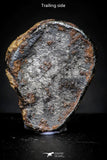 21413 - Taza (NWA 859) Iron Ungrouped Plessitic Octahedrite Meteorite 3g ORIENTED