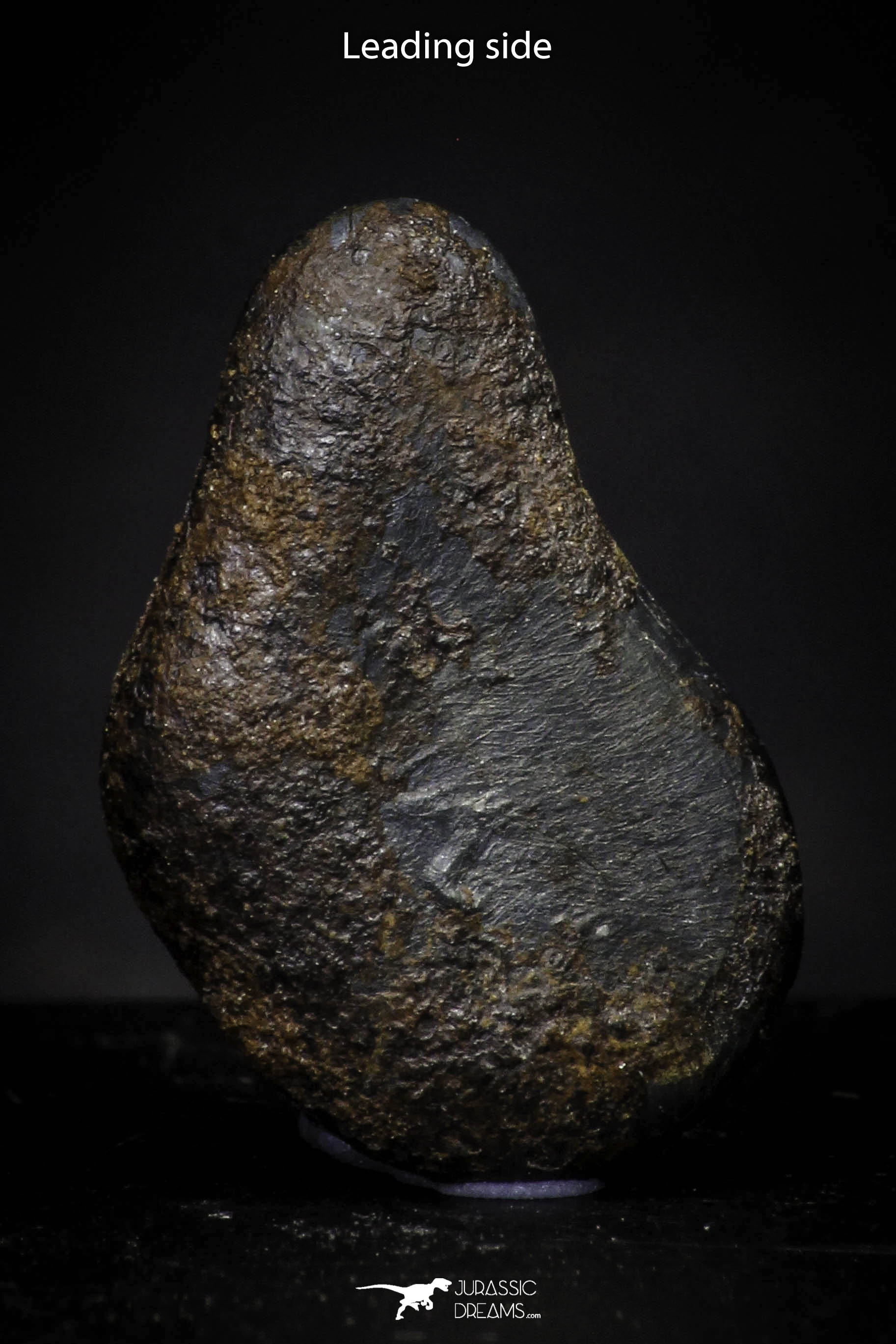 Taza (NWA 859) Iron Ungrouped Plessitic Octahedrite