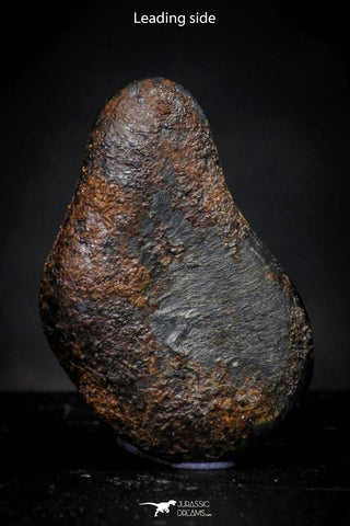 21414 - Taza (NWA 859) Iron Ungrouped Plessitic Octahedrite Meteorite 2.1g ORIENTED