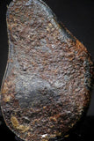 21414 - Taza (NWA 859) Iron Ungrouped Plessitic Octahedrite Meteorite 2.1g ORIENTED